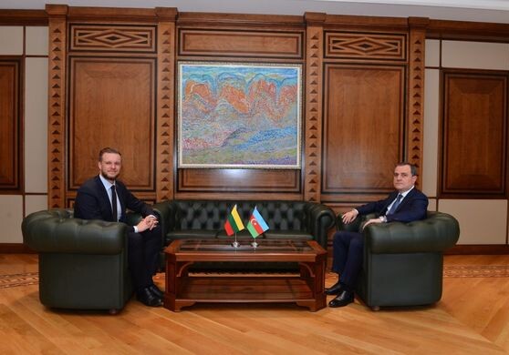 Главы МИД Азербайджана и Литвы обсудили вопросы, представляющие взаимный интерес (Фото-Видео)