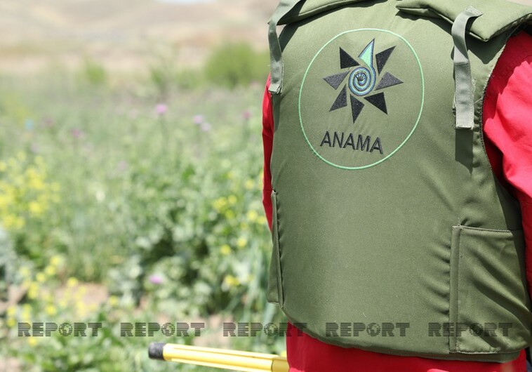 ANAMA: Враг закопал противопехотные мины поверх противотанковых