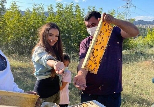 Лейла Алиева поделилась публикацией о пчеловодах из села Савалан Габалинского района (Фото-Видео)