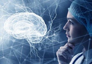 Нейробиологи смогли отследить путь мысли через головной мозг