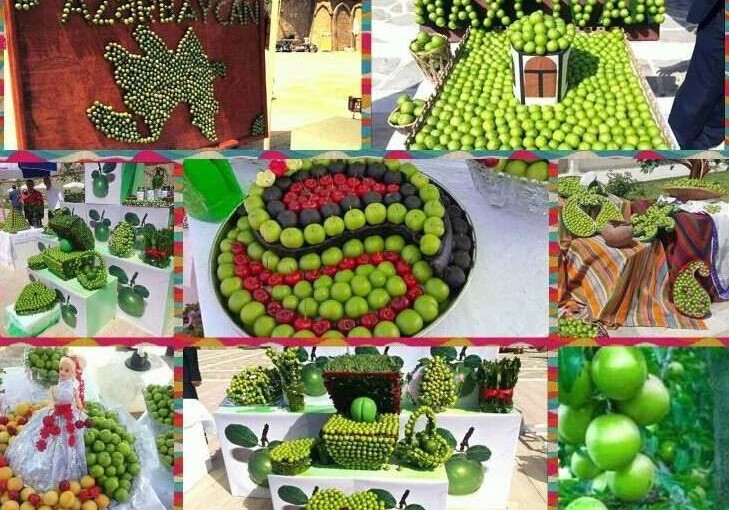 В Нахчыване проходит Фестиваль Göycə – райского фрукта (Фото)