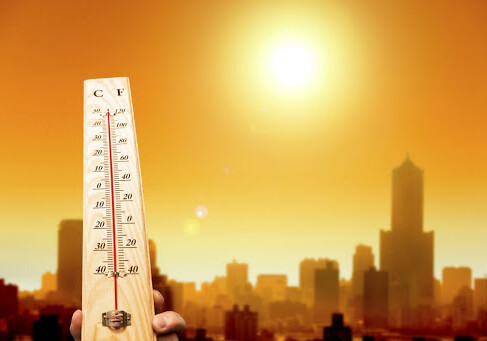 Человечество ожидает самый жаркий год за всю историю наблюдений