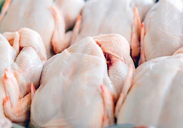 Мясо птицы из этих стран в Азербайджан ввозить не будут - Cписок