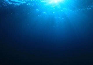 Раскрыта тайна появления гигантских «зон смерти» в океане