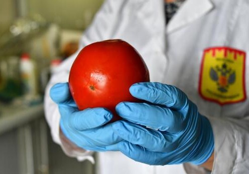 Россельхознадзор с 15 июня разрешает поставки железнодорожными вагонами в Россию яблок и томатов из Азербайджана