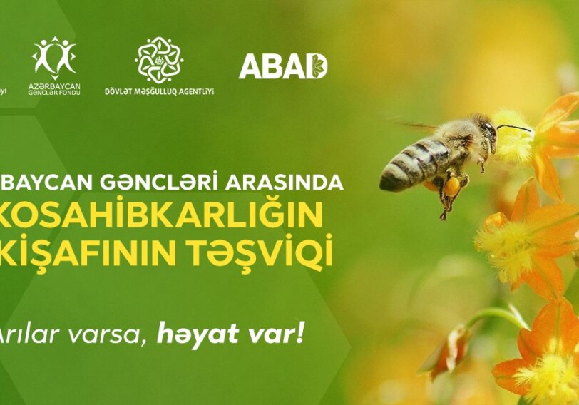 В Азербайджане будут созданы пчеловодческие хозяйства для малообеспеченных семей
