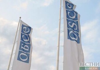 В ОБСЕ выразили благодарность России за работу по нагорно-карабахскому урегулированию