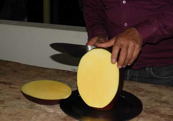 Фермеры из Индии случайно вырастили самое дорогое манго в мире