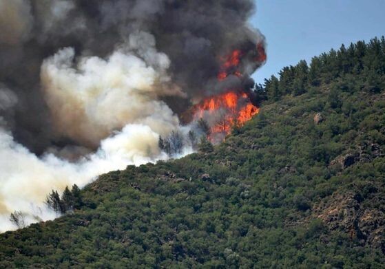 В результате лесных пожаров в Турции погиб человек (Фото-Видео)