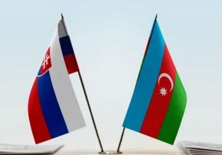 Баку и Братислава провели очередной раунд межмидовских консультаций