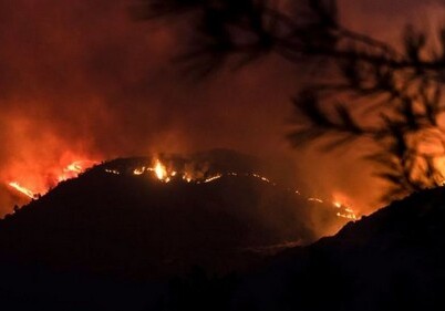 На Кипре бушует крупнейший за последние 40 лет лесной пожар
