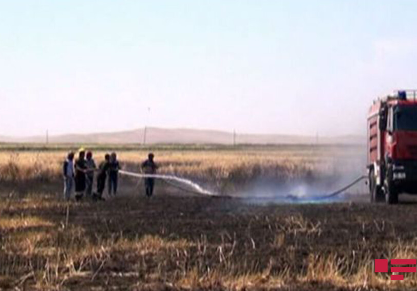 МЧС Азербайджана о пожаре на приграничной полосе в Газахе