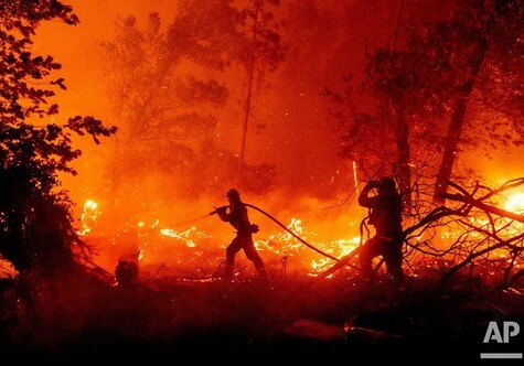 В 10 штатах США бушуют крупные лесные пожары: началась эвакуация людей