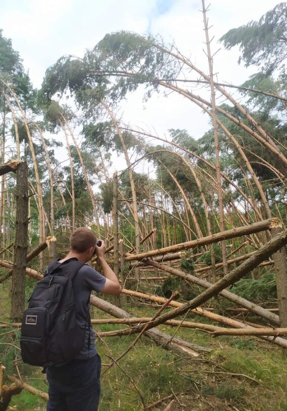 Буря в Польше повалила половину леса (Фото-Видео)
