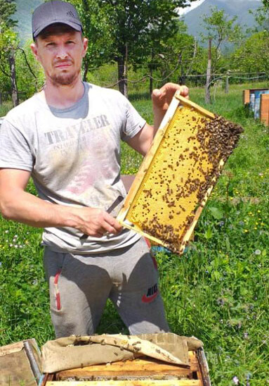 Как развивается пчеловодство страны