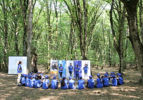 Успешно завершился экологический летний лагерь «Вернем зубров в природу!» (Фото)