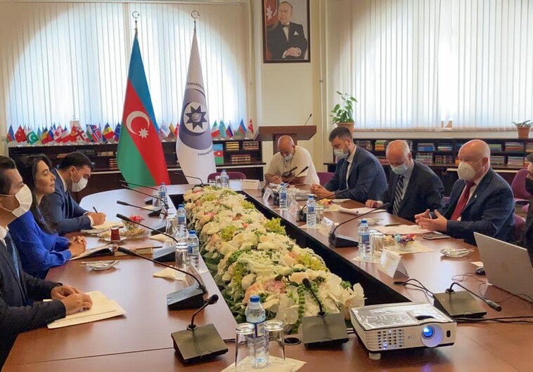 Азербайджанский омбудсмен проинформировала представителей ПАСЕ о совершенных Арменией преступлениях