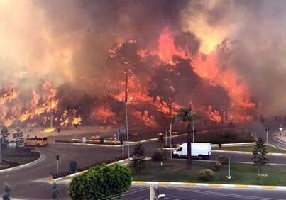 В Анталье вспыхнул масштабный лесной пожар (Фото-Видео)