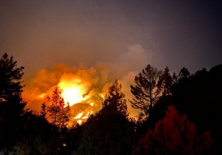 Число жертв лесных пожаров в Турции увеличилось до четырех