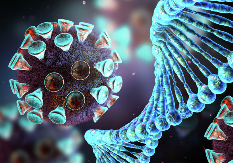 Может ли коронавирус встраиваться в ДНК человека?