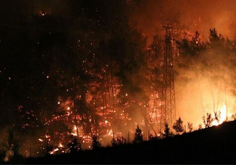 Среди погибших и пострадавших в лесных пожарах в Турции нет азербайджанцев – Генконсульство АР в Стамбуле