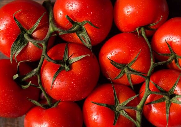 В списке экспортируемых товаров ненефтяного сектора Азербайджана лидируют томаты