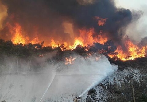 Репортаж Haber Global из Мармариса, где третий день бушует пожар (Видео)