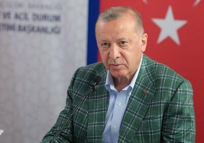 Эрдоган заявил о задержании подозреваемого в поджогах лесов в Турции