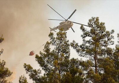 В Турции потушено 107 из 112 очагов лесных пожаров
