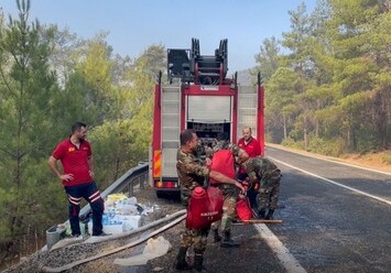 Азербайджанские пожарные проявляют героизм в борьбе с пожарами в Турции (Фото)