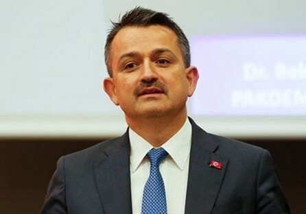 Бекир Пакдемирли: «В Турцию из Азербайджана прибыли еще 362 пожарных»