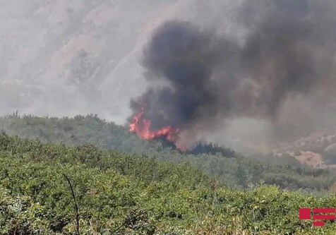 Пожар в горной местности в Агсу потушен (Видео)