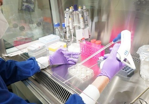 Ученые нашли средство, уничтожающее коронавирус на 70%