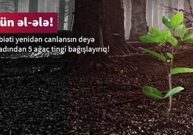 Kapital Bank оказал поддержку Турции для восстановления лесов