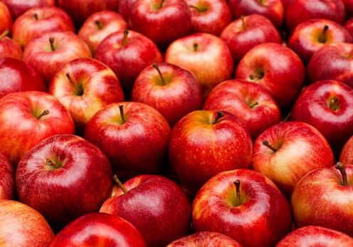 Россельхознадзор разрешил поставки яблок с 8 предприятий Азербайджана