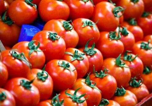 Россельхознадзор не пропустил в Россию около 140 тонн свежих томатов и нектаринов из Азербайджана