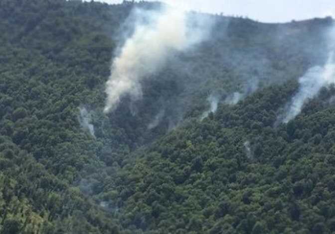 МЭПР: Пожар в горной местности Габалинского района еще не потушен (Видео)