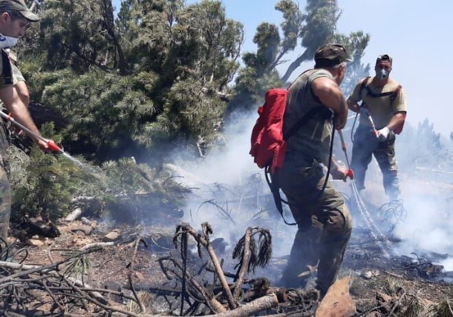Подразделения МЧС Азербайджана продолжают борьбу с лесными пожарами в Турции и в ночное время (Фото-Видео)