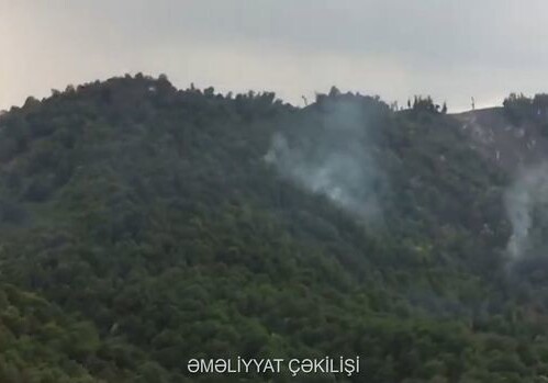 В горной местности Габалы потушен пожар (Видео)