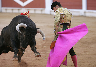 В Испании отменили корриду из-за неполиткорректных кличек быков