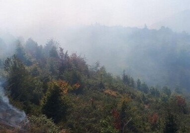 Пожар в горной местности в Габале взят под контроль (Видео)