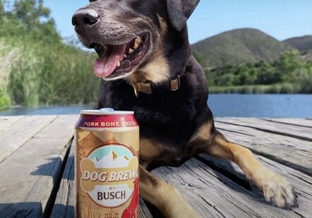 В США выпустили пиво для собак