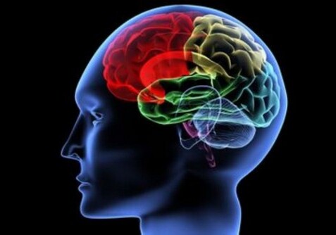 Ученые открыли возможность мозга предсказывать будущее