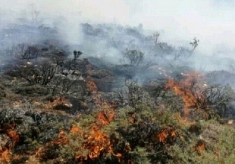 В Агсу потушен пожар в горной местности