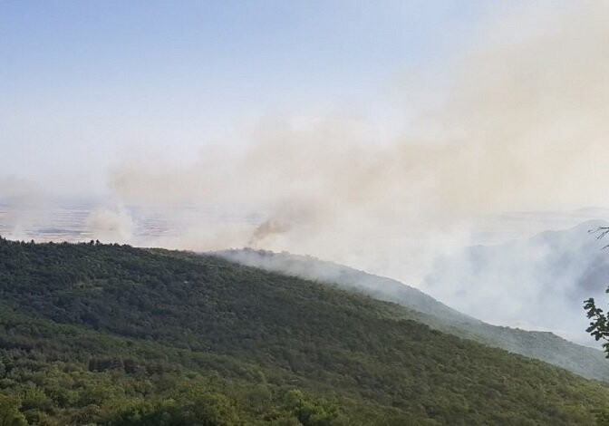 Пожар в горной местности в Лерике локализован (Видео)