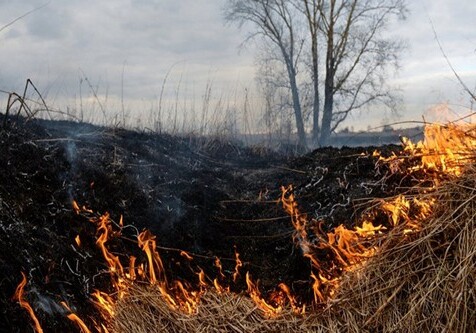 Пожар в горной местности в Исмаиллы потушен