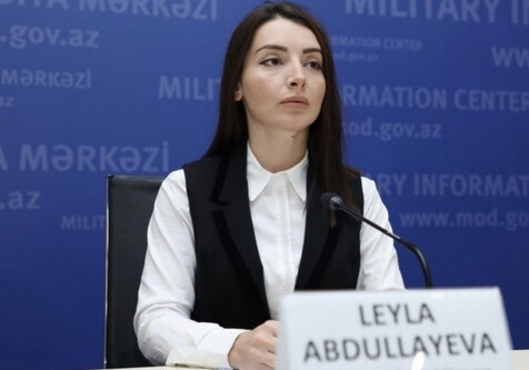 Лейла Абдуллаева: «Стратегия мира и безопасности» главы МИД Армении не что иное, как фальсификация»