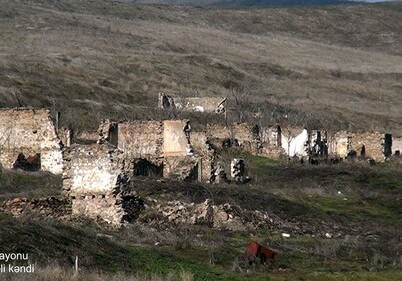 Минобороны АР показало руины села Моллавели Физулинского района (Видео)