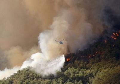 В Анталье вспыхнул новый лесной пожар