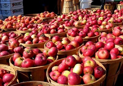 Россельхознадзор разрешил поставки яблок еще с 11 азербайджанских предприятий